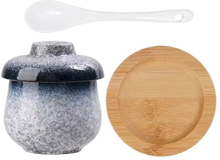 Cocotte en céramique avec couvercle - 250 ml - Petite porcelaine - Anti-fuite - Bol à soupe - Bol de cuisine pour la fabrication de ponts aux œufs - Pour œufs, soupes de légumes, entrée