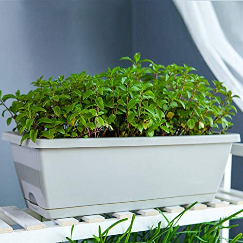 Topfpflanzung Balkontopf Gemüse Kunststoff Gemüsetrog Blume Terrasse & Garten Schlüssel Lindenbäume Lebende Pflanzen (C, Einheitsgröße)