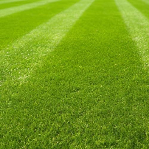 Haxnicks Rapid Roll-Out Perfect Lawn, Covers 5 Square Metres, Seeds Included, RAPID010101, Green