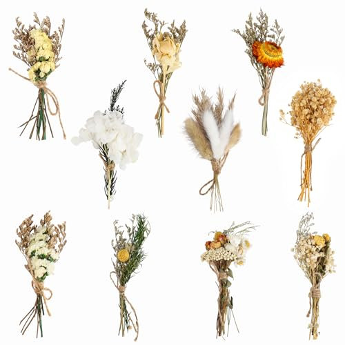JIANGZHIB 10 Bündel Trockenblumenstrauß, Mini Trockenblumen Zum Basteln, DIY Trockenblumenstrauß Klein, Fotorahmen Getrocknete Blumen für Kunst Handwerk Tägliche Heimdekoration Hochzeitsdekoration