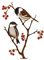 XDGBGFN Piquet d'oiseau - Décoration de jardin - Décoration de jardin - Accessoire de décoration