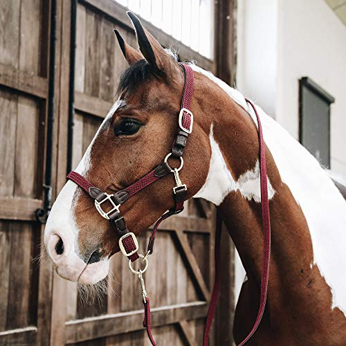 Kentucky - Geflochtenes Nylon Halfter Full - Bordeaux - Leder