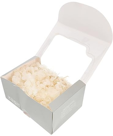 HOLIDYOYO Fleurs Séchées pour Mariage Pressés Boîte Hortensias Blancs pour Créations Artisanales