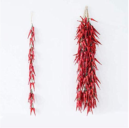 Ayrsjcl 5pcs Plantes Suspendues Piments Piment Rouge Artificiel Cordes Légumes Réalistes pour Décoration Fête des Mères