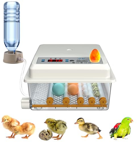 Auveach 12-16 Eier Brutautomat Vollautomatisch, Upgraded Brutmaschine Brutkasten mit Automatischem Rotationssystem/Temperaturkontrolle für Enten Geflügel Hühner-weiß