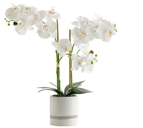 home&you - Fleurs Artificielles Orchibitto New, Composition Florale Artificielle, Orchidées Blanches, Décoration Intérieure, Salon, Cuisine, Bureau, Vase en Céramique, 50x40x21 cm - Blanc