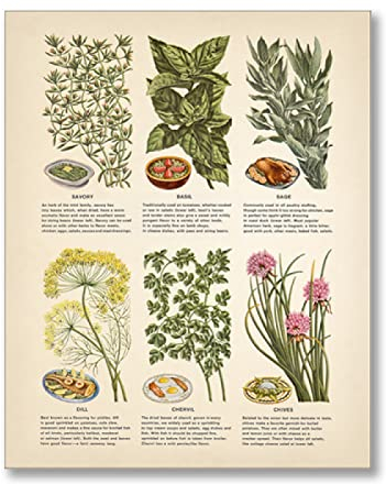 Affischer Posters Vintage Botaniska Örter Och Kryddor Affisch Dukmålning Kök Väggkonst Dekor, Örtväxter Utbildning Konsttryck Väggbild 50X70Cm