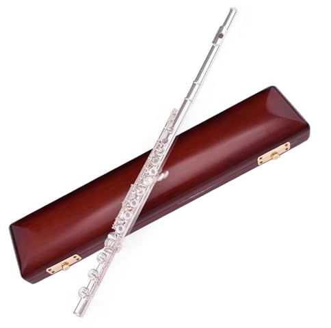 Kupfernickel Versilberte Flöte, 17 Tasten, Offenes Loch, C-Ton, E-Mechanismus, Flöte, Musikinstrument Querflöte für Anfänger