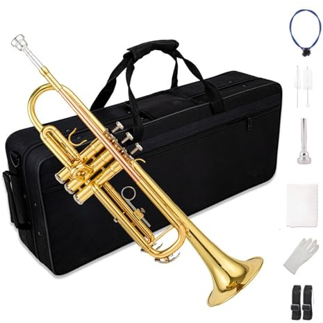 Trompete Instrument B-Dur Profi Anfängerinstrument Messing Musikinstrument Trompete