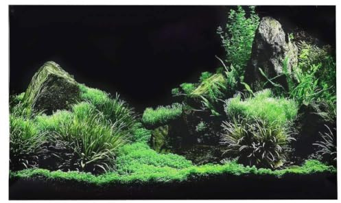 Pssopp 3D Effect Seafloor Water Grass Poster Self-adhesive Reptile Terrarium Aquarium Backdrop Fish Tank Wall Sticker Aquarium Background Underwater Poster PVC Decor Wall Paper(61 x 40cm)
