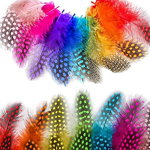 SSyang 200 Stück Bunte Federn, Bunte Natürliche Federn, Federn Deko, Für DIY-Traumfänger, Karnevalsmasken, Hüte, DIY-Ohrringe, Bastelkopfschmuck, Feder-Halloween-Dekoration(Mehrfarbig)