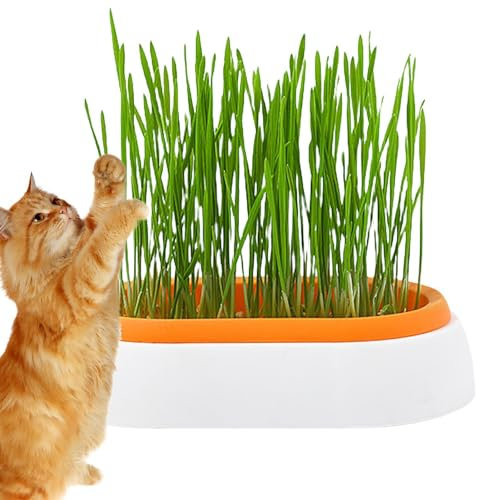 Katzengras-Pflanzgefäß, PP-Katzengras, Pflanzgefäß, Katzenminze, Grasschale, Katzengrasbehälter, tragbarer Hydrokultur-Katzengrasbecher für Indoor-, Outdoor-Katzen, Hunde, andere Haustiere