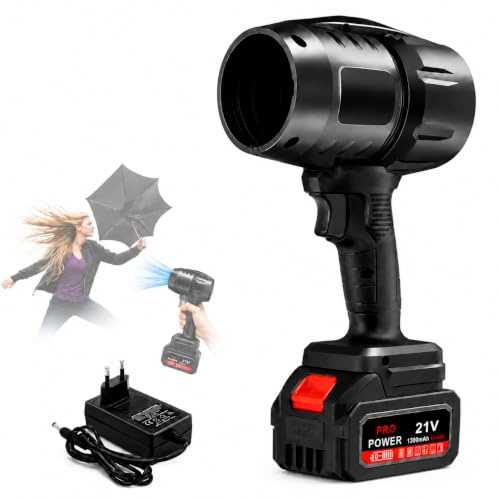 Souffleur de Poussière Électrique, Souffleur Air Comprimé, Souffleur Turbo, Souffleur Portatif avec Batteries 21 V 1300 mAh et Chargeur, 800W 35000 tr/min pour PC, Clavier, Voiture, Barbecues, Camping