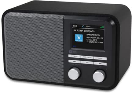 POOPFIY Portable Internet DAB+FM Digital Radio Station Bluetooth Alarm Clock,with Rechargeable Battery,Support Upnp And DLNA