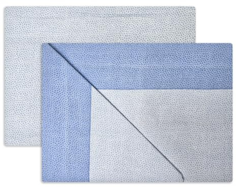 Vionara Home Completo Lenzuola in Flanella di Puro Cotone, Anti-pilling, Completo Letto Invernale in Morbido Caldo Cotone, Made in Italy (F140 - Azzurro, Matrimoniale)