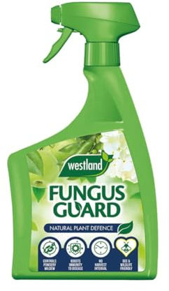 Fungus Stop Spray - Westland Fungus Stop Fungicide 800m - Ready To Use Fungus Spray