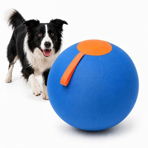 Herding Ball für Hunde, robuster Treibball aus 600D Oxford-Gewebe mit luftdichter PVC-Innenblase, Hundespielball für Border Collie, Australian Shepherd & aktive, inkl. Pumpe & Reparaturset (L(55cm))