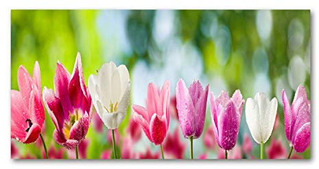 Tulup Picture Wall Art 100x50cm Image Printed Acryl Decorative Wall Picture Plastic/Acrylic Glass for Kitchen & Living Room tulips