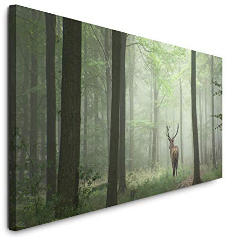 Paul Sinus Art GmbH Rehbock in einem Wald 120x 50cm Panorama Leinwand Bild XXL Format Wandbilder Wohnzimmer Wohnung Deko Kunstdrucke