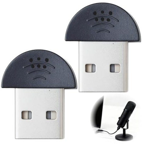 CanQuanSWZX 2 microfoni USB 2.0, mini microfono portatile per PC e laptop, compatibile con chat, registrazioni vocali e altro ancora, adattatore USB, nero