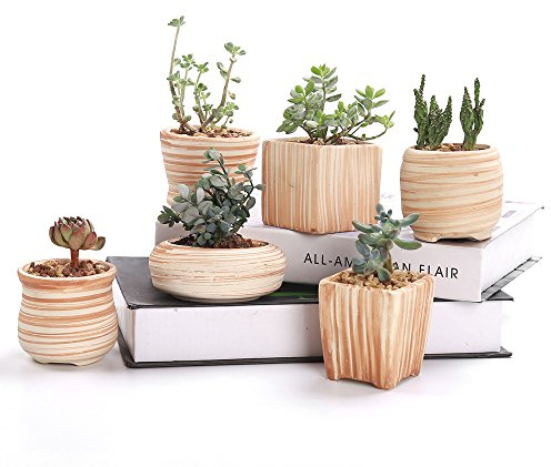 Sun-E 6 in Set 7.6 cm Ceramic Wooden Pattern Succulent Plant Pot Cactus Plant Pot Flower Pot Container Planter Gift Idea