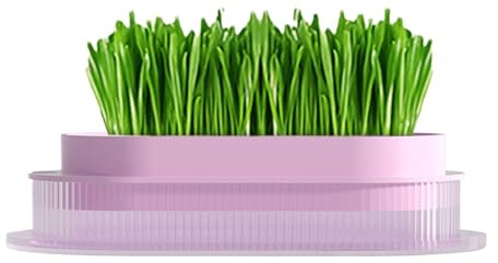 Gras-Blumentopf für Katzen, Graspflanzenbox für Katzen, für den Innenbereich, Hydrokulturschale, transparent, für den Anbau von Katzengras, Kindergartentopf