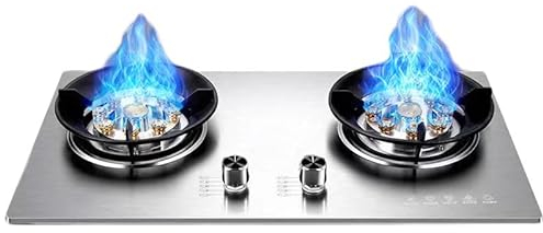 Cuisinière Au Propane, Cuisinière Au Propane Portable À 2 Brûleurs, Table De Cuisson À Gaz En Acier Inoxydable, Maximum 17742,4 BTU For Les Restaurants Familiaux Et Les Camions De Nourriture (Color :