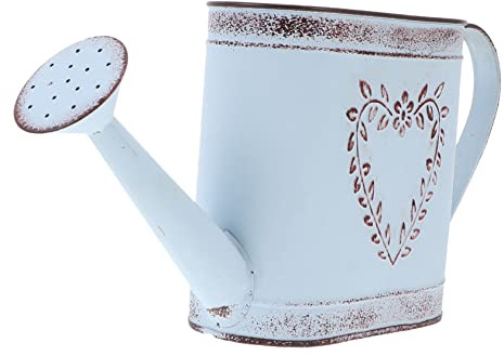 BESPORTBLE Arrosoir en Fer Vintage pour Jardin Et Décoration Intérieure│Grosse Taille Motif Feuilles Embossé│ Déco Multifonction Plantes Et Fleurs│Style Champêtre Européen