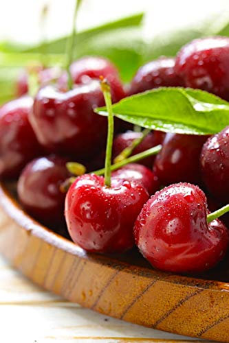 Albero di Ciliegio pianta di ciliegia varietà Visciola in vaso Età 2 anni pianta di ciliegio vera venduta da eGarden.store