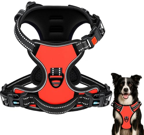 DOLCEPAW Hundegeschirr No-Pull Verstellbar mit Reflektierenden Streifen, Atmungsaktives, Gepolstertes Brustgeschirr für Hunde, Sicher und Bequem für Spaziergänge und Training