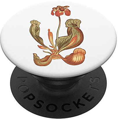 Carnivorous plants Sarracenia trumpet pitcher plant PopSockets Swappable PopGrip