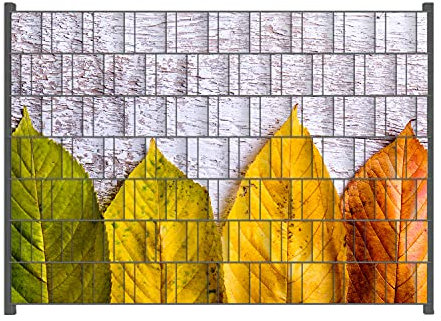 Wallario Zaun Sichtschutz Windschutz für EIN- und Doppelstabmattenzäune in der Größe Breite 2,00m x Höhe 1,40m, Motiv: Bunte Herbstblätter auf hellem Holz