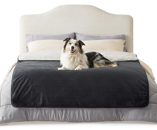 LE SURE Hundedecke Wasserdicht，152x203cm wasserdichte Decke Sofa,Dunkelgrau | Hundedecke für unterwegs, grosse Hunde Decke Fleece waschbar, Katzendecke flauschig und weich für Bett, Auto, Outdoor