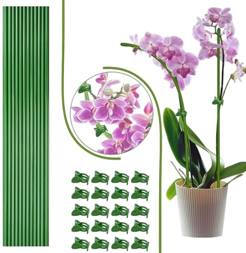 Quorvex Tutores para Plantas de Interior | Soportes de Jardín con Abrazaderas,Abrazaderas Reutilizables para Tallos de Tomate Fresa Pimienta Bonsái Orquídea Peonía