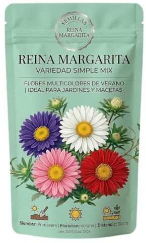 Margarita Reina Semillas para Jardinería Doméstica y Balcones Floridos con Colores Decorativos | Marca DECOALIVE