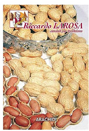 Arachidi Da Semina Gr 50 Pianta Annuale Semi Noccioline Americane Da Piantare