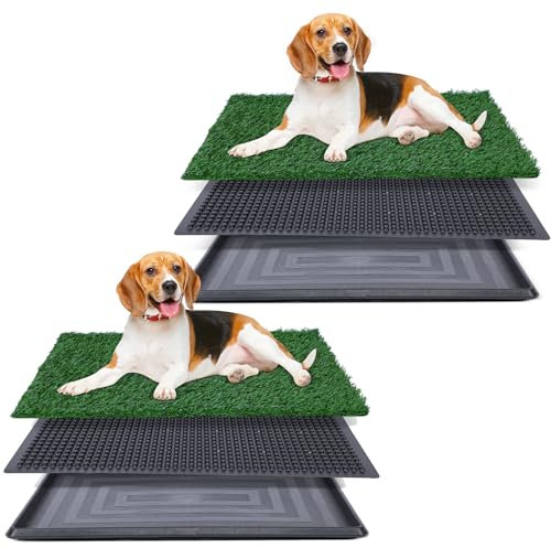 Artificial Grass for Dog Potty – 20x25 inch,Strong Absorbency Grass Pad, Dog Grass Pad with Tray, Dog Potty Training Pad, Dog Litter Box with Grass (20x30 X2)