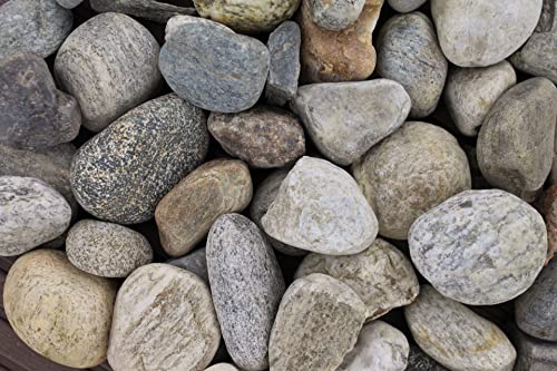 Gartenwelt Riegelsberger 1 kg Bergkies gewaschen Körnung 30-60 mm bunt Mix Rheinkies Kieselsteine Zierkies Steine Deko Garten Wegkies