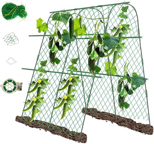 STFALI Treillis Plante Grimpante Exterieur, 160 X 140 X 120cm Treillis Jardin,Support Plante Grimpante, Légumes Et Plantes Grimpantes, Fleurs Et Plantes Fruitières