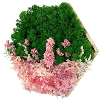 Gedankenwunder Manufaktur Moosbild Rosa Hortensien Blumenwald Hortensien & Islandmoos Hexagon Wabe