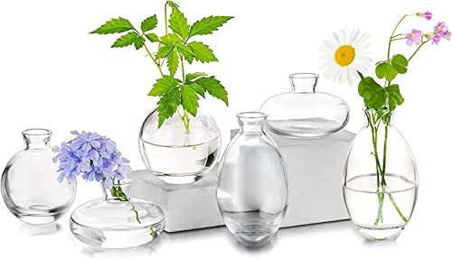 Piccolo vaso in vetro per fiori, 6 vasi per boccioli piccoli per decorazione della tavola, centrotavola in vetro trasparente, mini vaso per estetico soggiorno, decorazione da tavolo