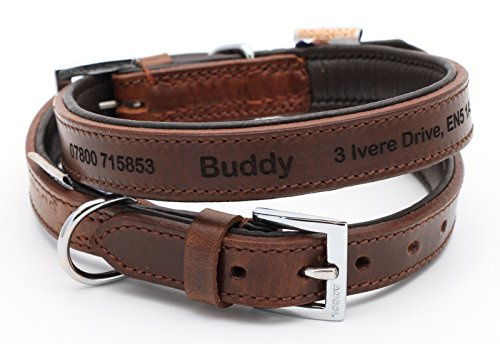 CustomDesign.Shop Feines personalisiertes gepolstertes Lederhalsband für Hund | Schaffen Sie Ihr einzigartiges Tierkennzeichen | Lasergravur