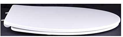 Grünblatt WC Sitz Slim Design Toilettendeckel oval Klodeckel mit Quick-Release-Funktion und Geräuschlose Absenkautomatik Antibakterielle Duroplast (Weiß)