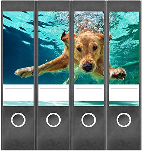 Etiketten für Ordner | Hund unter Wasser | 4 breite Aufkleber für Ordnerrücken | Selbstklebende Design Ordneretiketten Rückenschilder