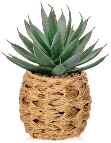 Hollyone Sukkulenten Pflanzen Künstliche Aloe Vera Pflanze, Faux Sukkulenten im Geflochtenen Korb, Getopfte Fake Aloe Pflanze für Home Office Badezimmer Tisch Schlafzimmer Regal Dekor 21cm