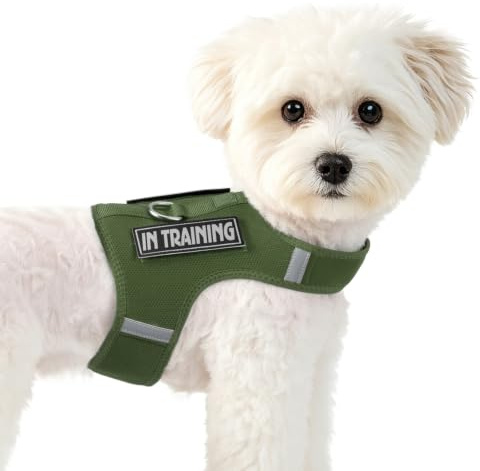 Harnais pour Chiots de Petite Taille, Taille réglable + 2 Bandes Velcro | XXXS à S conviennent davantage aux chats, tandis que les tailles XS à L conviennent davantage aux chiots