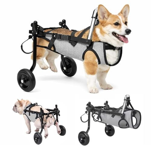 Hunde Rollstuhl für Hinterbeine, Verstellbarer Mobilitätshilfe-Wagen mit Atmungsaktiven Mesh & Sicherheitsschnallen, Leichter Aluminiumrahmen für Kleine Hunde/Katzen, Ideal bei Lähmung & Behinderung