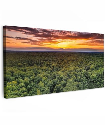 MuchoWow© Leinwand Bilder XXL Deko Schlafzimmer Aesthetic Große | 100x50 cm - Leinwandbilder Wohnzimmer Gemälde Foto Geschenk Living Room Decoration Wald - Nacht - Himmel - Horizont - Bäume
