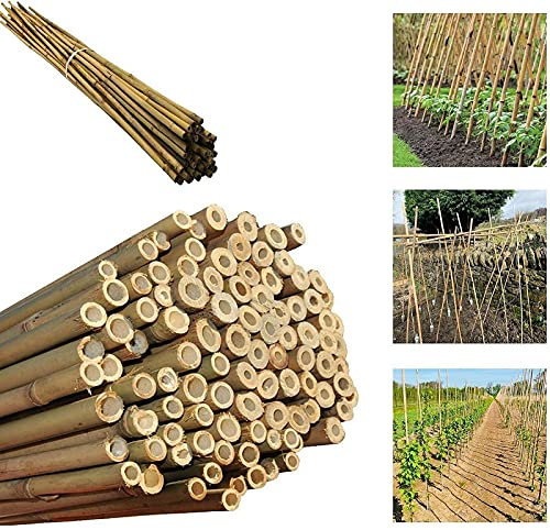 Gardens 2Ft,3Ft,4Ft,5Ft,6Ft,7Ft,8FT,10Ft Strong Heavy Duty Professional Bamboo Plant Support Garden Canes (5, 5ft, 14-16 mm)