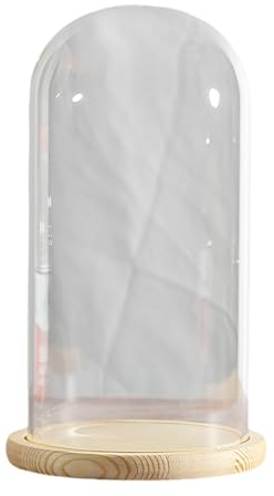 COYOUCO Glasglocken-Kuppeldisplay mit Massivholzsockel zur Präsentation von Pflanzen, Ornamenten, Figuren, Durchmesser 18cm Höhe 22/25/30/35cm,Dia18*H22cm